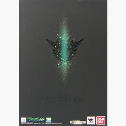 METALBUILD GN-001 ガンダムエクシア 10th ANNIVERSARYEDITION「機動戦士ガンダム00(ダブルオー)」魂ウェブ商店限定抽選販売品